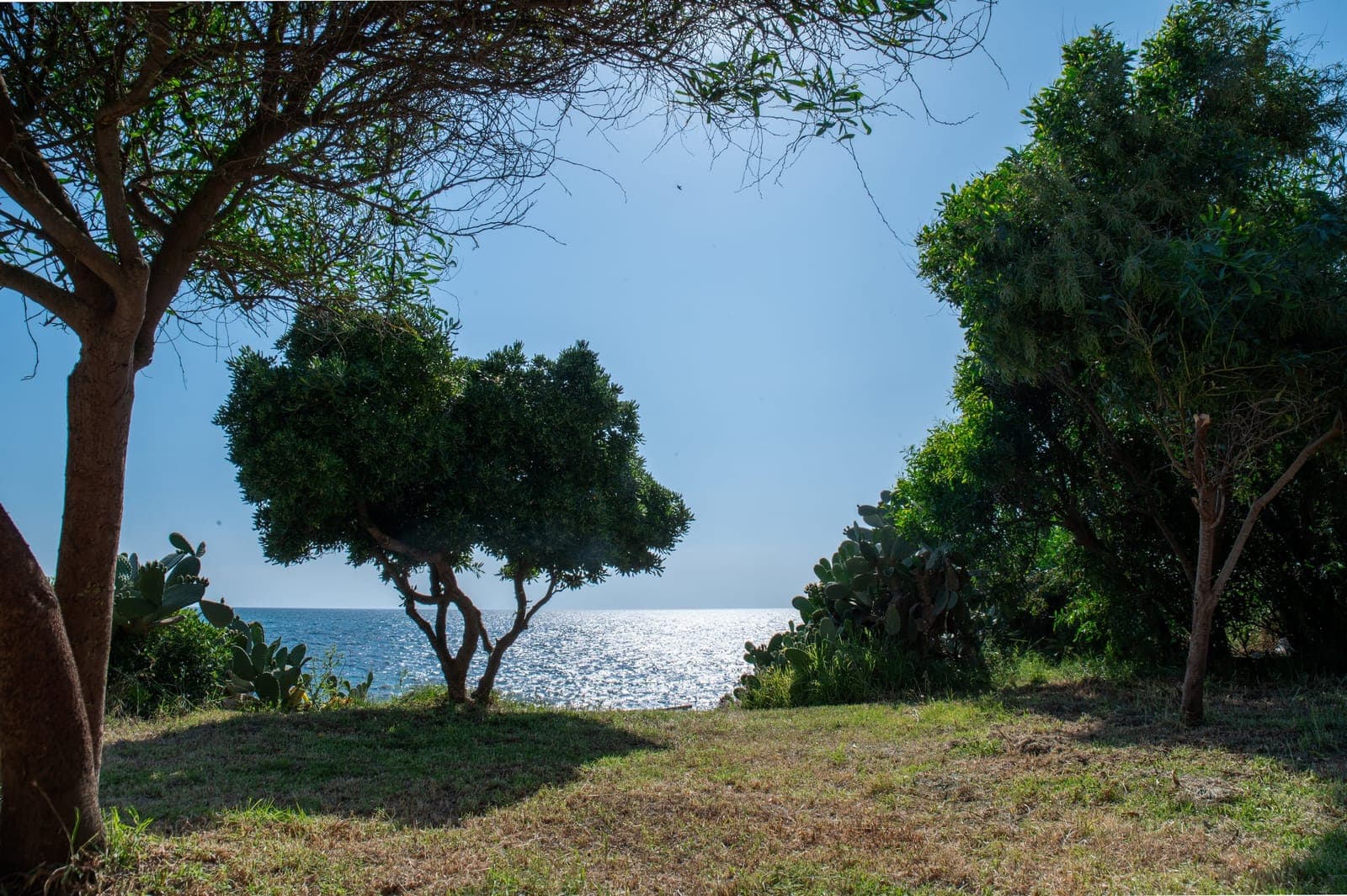 Ο παραθαλάσσιος χώρος των L'Incanto Apartments στα Χρονέικα Πρέβεζας στο ηλιοβασίλεμα